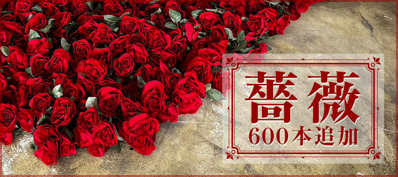 薔薇600本追加